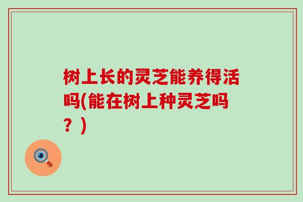 树上长的灵芝能养得活吗(能在树上种灵芝吗？)