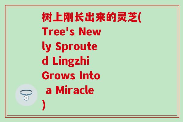 树上刚长出来的灵芝(Tree's Newly Sprouted Lingzhi Grows Into a Miracle)