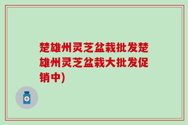 楚雄州灵芝盆栽批发楚雄州灵芝盆栽大批发促销中)