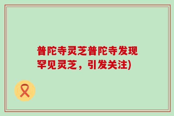 普陀寺灵芝普陀寺发现罕见灵芝，引发关注)
