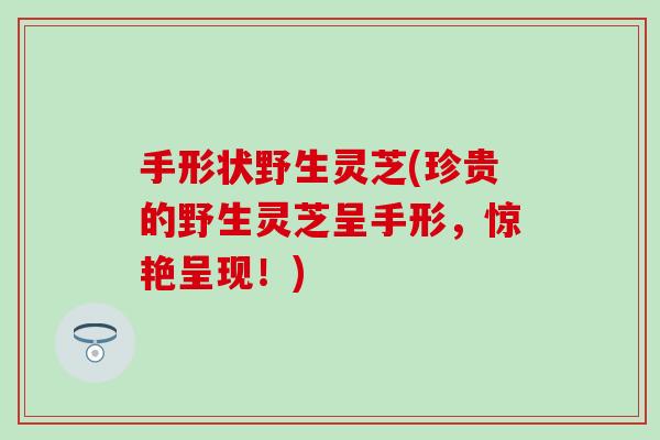 手形状野生灵芝(珍贵的野生灵芝呈手形，惊艳呈现！)