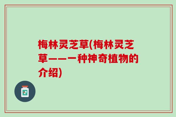 梅林灵芝草(梅林灵芝草——一种神奇植物的介绍)