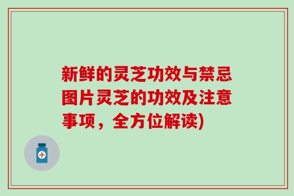 新鲜的灵芝功效与禁忌图片灵芝的功效及注意事项，全方位解读)