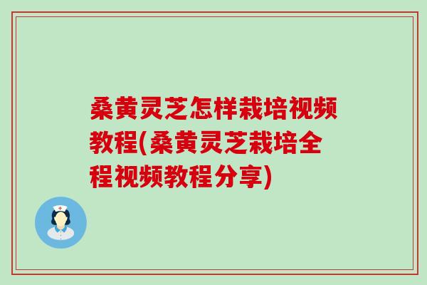 桑黄灵芝怎样栽培视频教程(桑黄灵芝栽培全程视频教程分享)