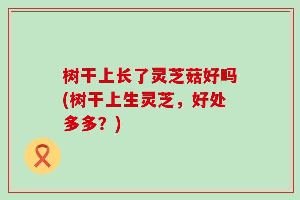 树干上长了灵芝菇好吗(树干上生灵芝，好处多多？)