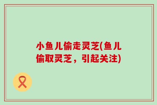 小鱼儿偷走灵芝(鱼儿偷取灵芝，引起关注)