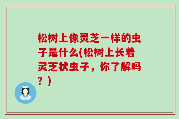 松树上像灵芝一样的虫子是什么(松树上长着灵芝状虫子，你了解吗？)