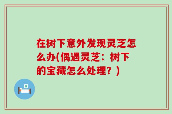 在树下意外发现灵芝怎么办(偶遇灵芝：树下的宝藏怎么处理？)