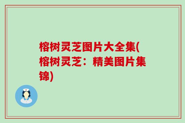 榕树灵芝图片大全集(榕树灵芝：精美图片集锦)