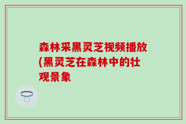 森林采黑灵芝视频播放(黑灵芝在森林中的壮观景象 森林采黑灵芝视频播放(黑灵芝在森林中的壮观景象