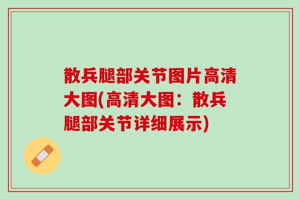 散兵腿部关节图片高清大图(高清大图：散兵腿部关节详细展示)