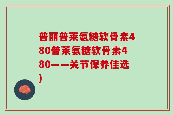 普丽普莱氨糖软骨素480普莱氨糖软骨素480——关节保养佳选)