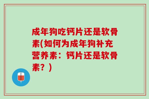 成年狗吃钙片还是软骨素(如何为成年狗补充营养素：钙片还是软骨素？)