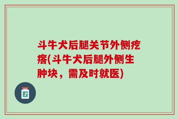 斗牛犬后腿关节外侧疙瘩(斗牛犬后腿外侧生肿块，需及时就医)