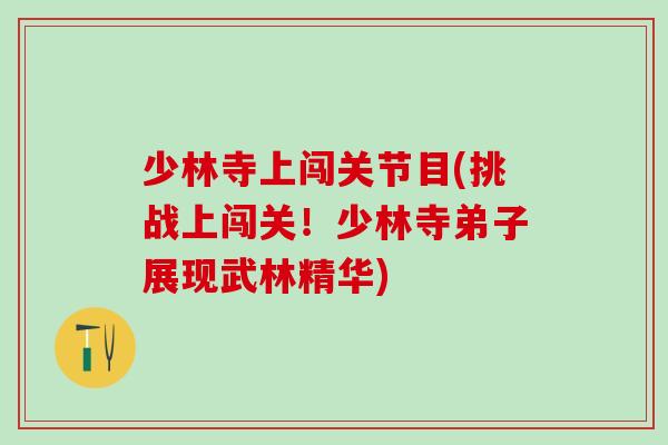 少林寺上闯关节目(挑战上闯关！少林寺弟子展现武林精华)