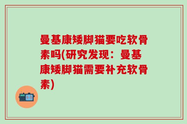 曼基康矮脚猫要吃软骨素吗(研究发现：曼基康矮脚猫需要补充软骨素)