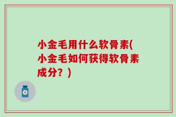小金毛用什么软骨素(小金毛如何获得软骨素成分？)
