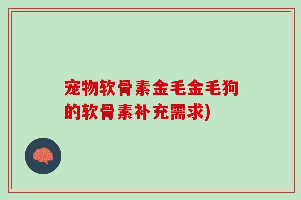 宠物软骨素金毛金毛狗的软骨素补充需求)
