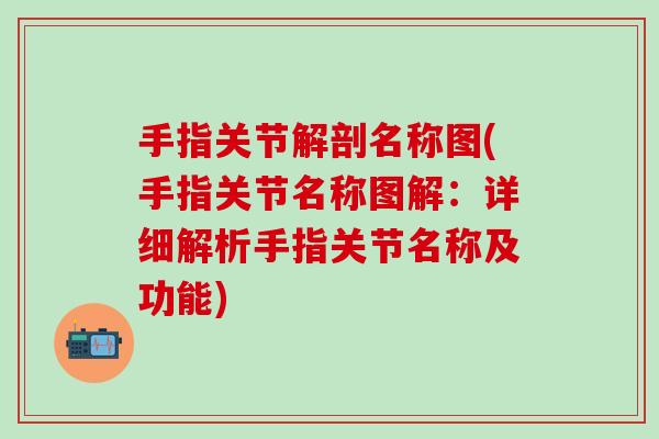 手指关节解剖名称图(手指关节名称图解：详细解析手指关节名称及功能)