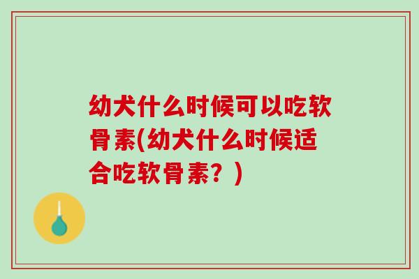 幼犬什么时候可以吃软骨素(幼犬什么时候适合吃软骨素？)