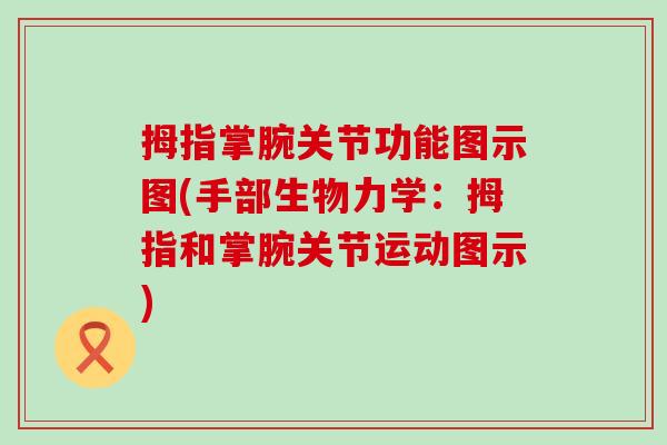 拇指掌腕关节功能图示图(手部生物力学：拇指和掌腕关节运动图示)