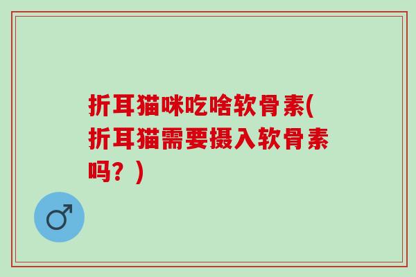 折耳猫咪吃啥软骨素(折耳猫需要摄入软骨素吗？)