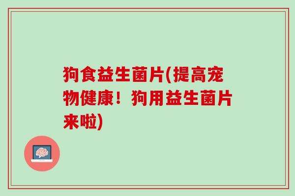 狗食益生菌片(提高宠物健康！狗用益生菌片来啦)