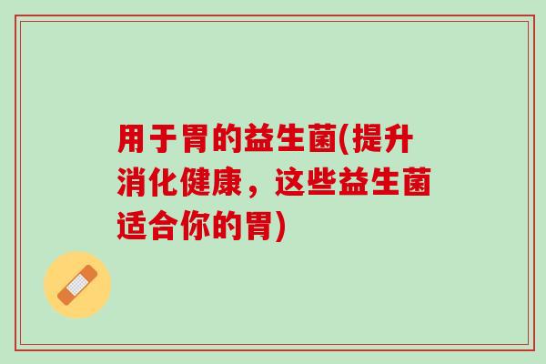 用于胃的益生菌(提升消化健康，这些益生菌适合你的胃)