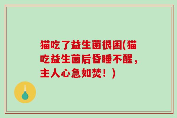 猫吃了益生菌很困(猫吃益生菌后昏睡不醒，主人心急如焚！)