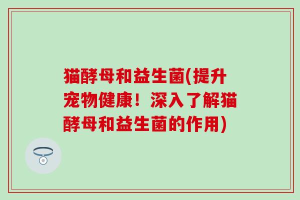 猫酵母和益生菌(提升宠物健康！深入了解猫酵母和益生菌的作用)