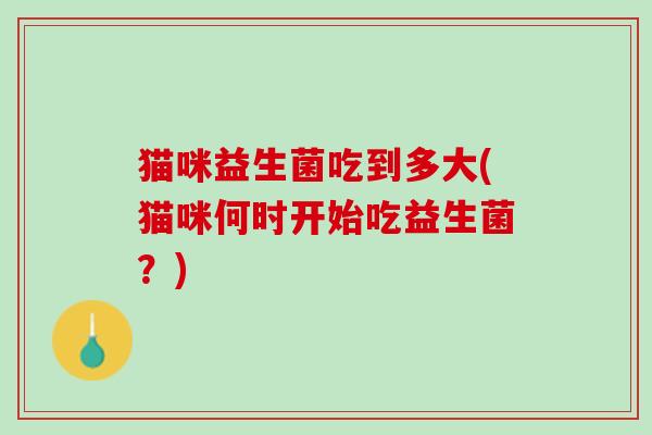 猫咪益生菌吃到多大(猫咪何时开始吃益生菌?) 猫咪益生菌吃到多大(猫咪何时开始吃益生菌?)