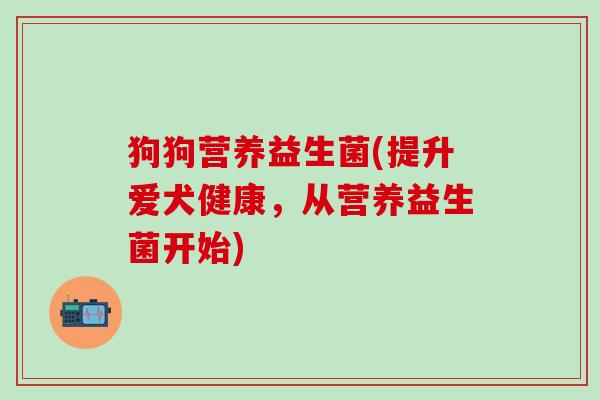 狗狗营养益生菌(提升爱犬健康，从营养益生菌开始)
