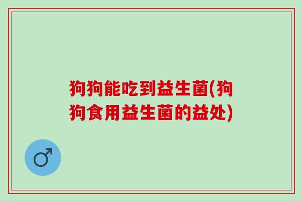 狗狗能吃到益生菌(狗狗食用益生菌的益处)