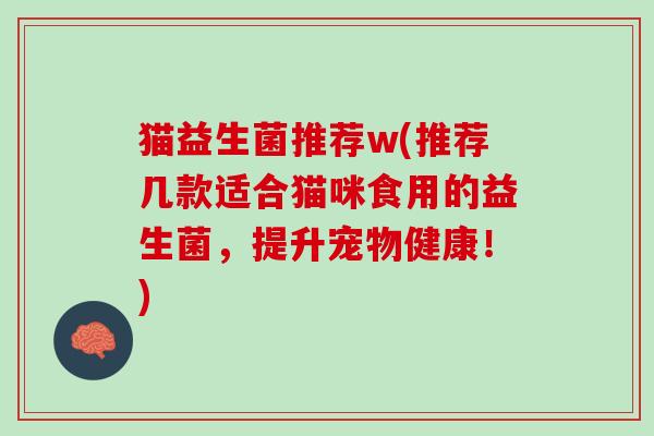 猫益生菌推荐w(推荐几款适合猫咪食用的益生菌，提升宠物健康！)