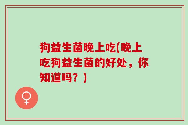 狗益生菌晚上吃(晚上吃狗益生菌的好处，你知道吗？)