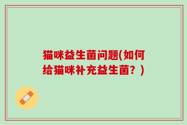 猫咪益生菌问题(如何给猫咪补充益生菌？)