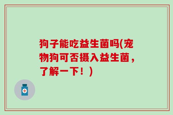 狗子能吃益生菌吗(宠物狗可否摄入益生菌，了解一下！)