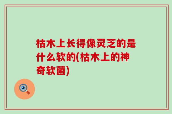 枯木上长得像灵芝的是什么软的(枯木上的神奇软菌)