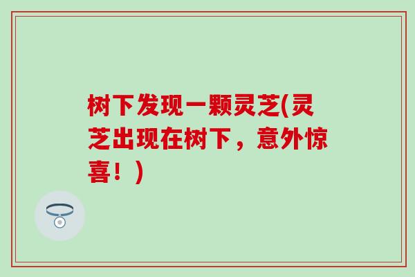 树下发现一颗灵芝(灵芝出现在树下，意外惊喜！)