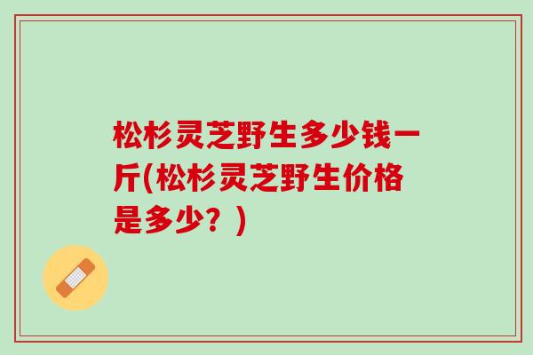 松杉灵芝野生多少钱一斤(松杉灵芝野生价格是多少？)