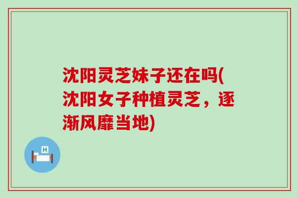 沈阳灵芝妹子还在吗(沈阳女子种植灵芝，逐渐风靡当地)