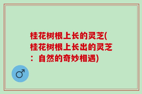 桂花树根上长的灵芝(桂花树根上长出的灵芝：自然的奇妙相遇)