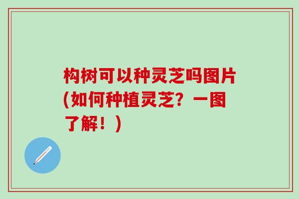 构树可以种灵芝吗图片(如何种植灵芝？一图了解！)