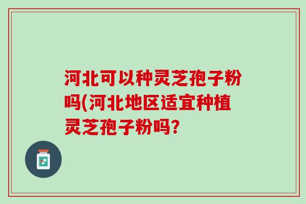 河北可以种灵芝孢子粉吗(河北地区适宜种植灵芝孢子粉吗？
