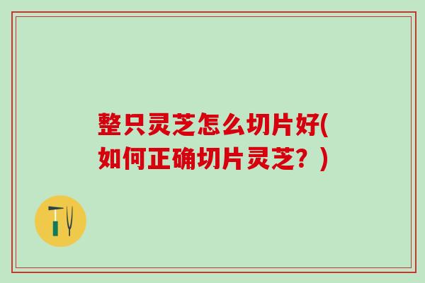 整只灵芝怎么切片好(如何正确切片灵芝？)