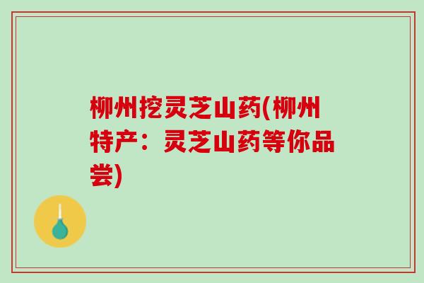 柳州挖灵芝山药(柳州特产:灵芝山药等你品尝) 柳州挖灵芝山药(柳州特产:灵芝山药等你品尝)