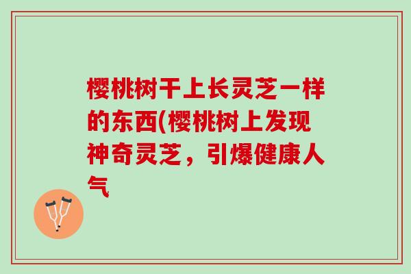 樱桃树干上长灵芝一样的东西(樱桃树上发现神奇灵芝，引爆健康人气