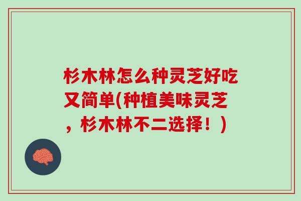 杉木林怎么种灵芝好吃又简单(种植美味灵芝，杉木林不二选择！)