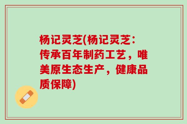 杨记灵芝(杨记灵芝：传承百年制药工艺，唯美原生态生产，健康品质保障)