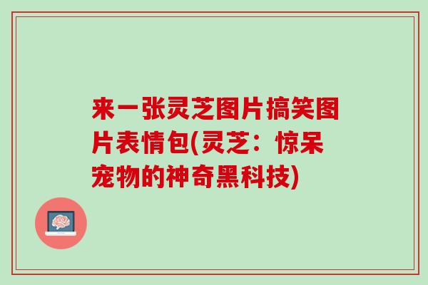 来一张灵芝图片搞笑图片表情包(灵芝：惊呆宠物的神奇黑科技)